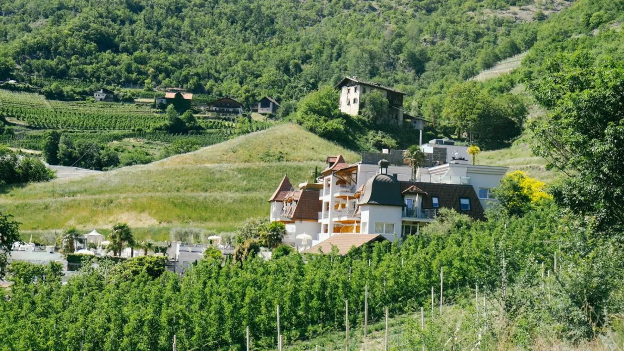 Preidlhof Italy aerial